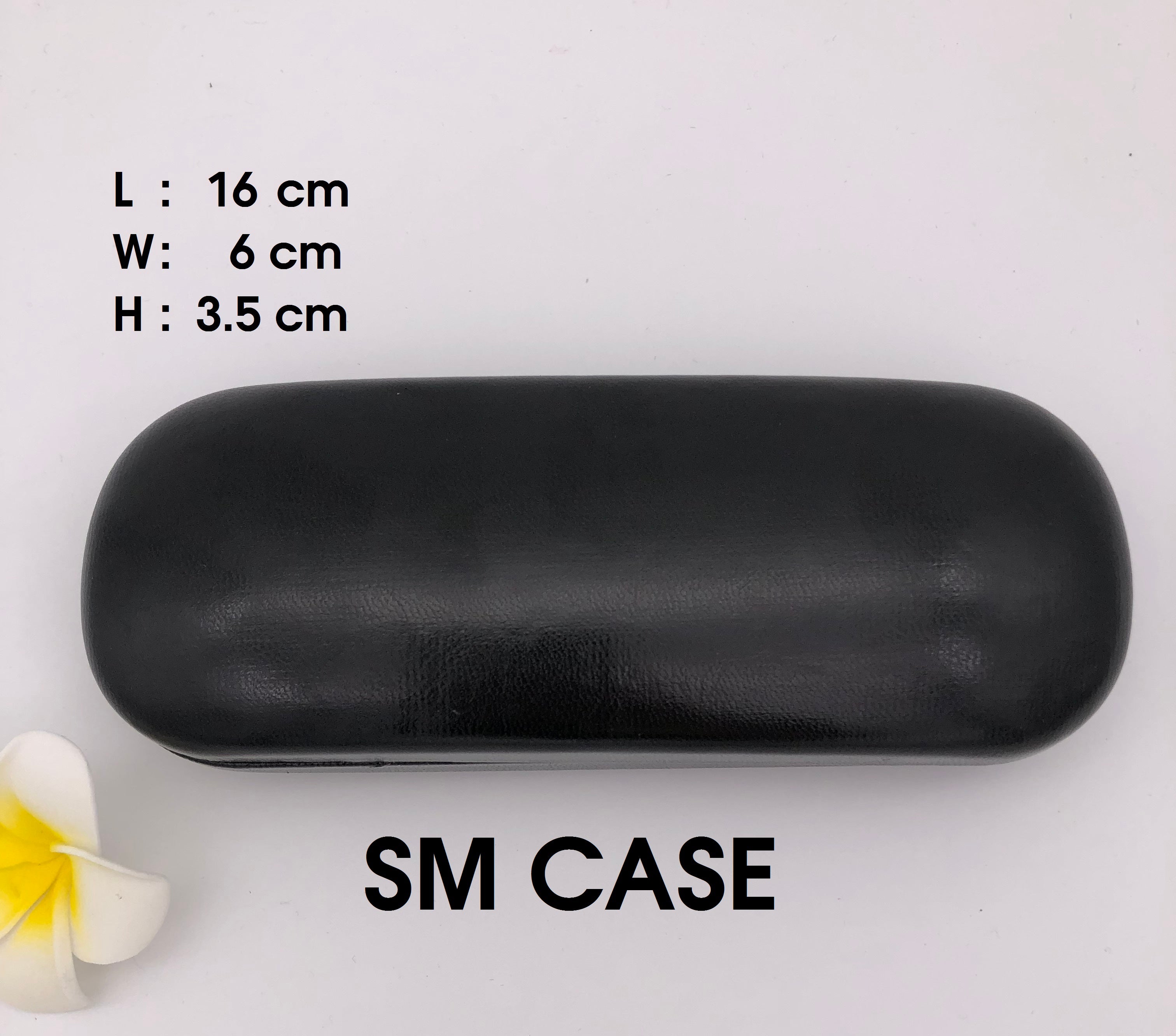 Standard Metal Case 10pcs