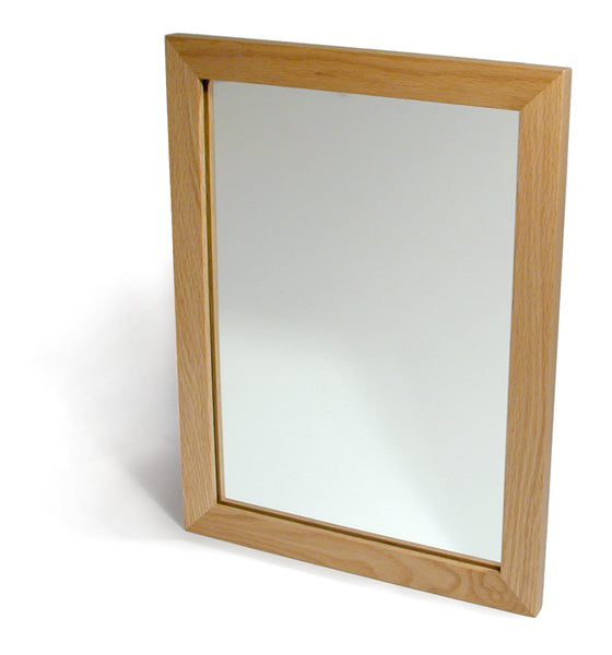 Mirror System